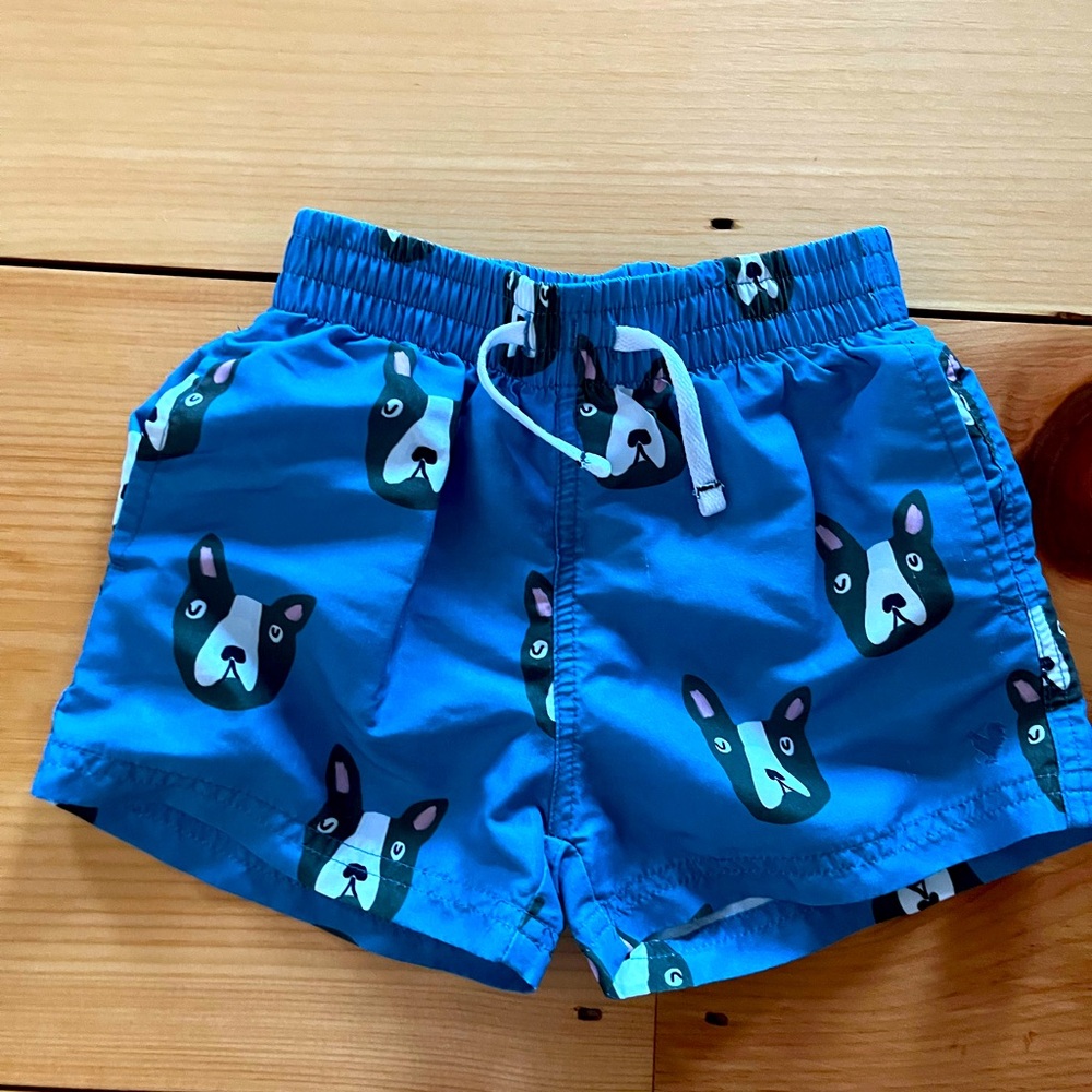 Pink Chicken Boys Swim Trunk - Blue Boston Terrier 2Y.